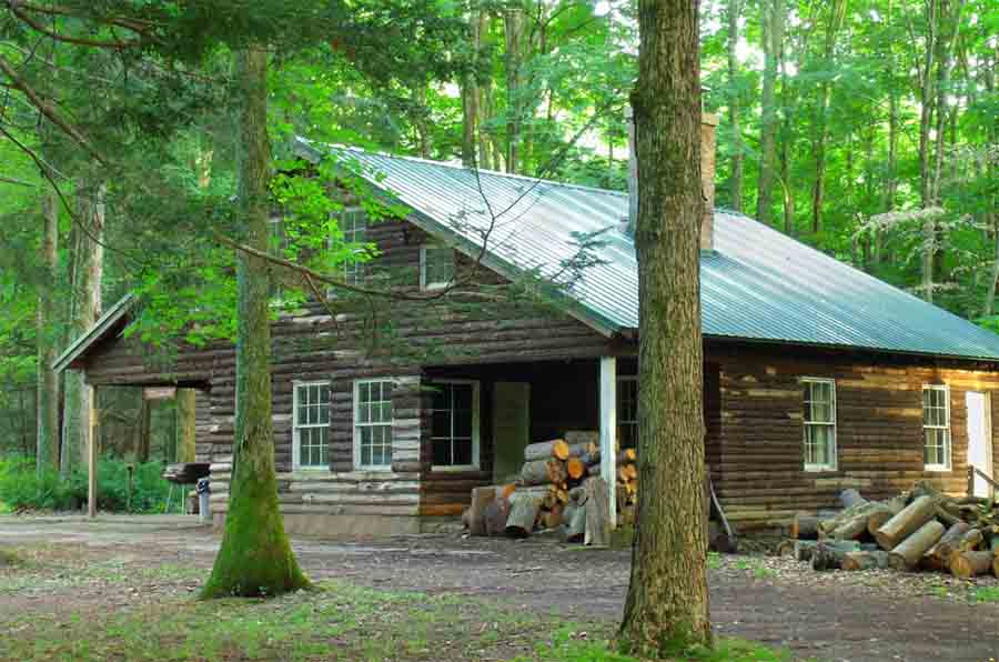 cabañas en el bosque de tapalpa jalisco